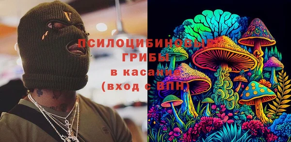 хмурый Алексин