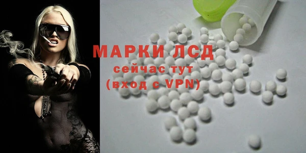 хмурый Алексин