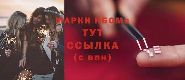 хмурый Алексин